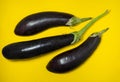 Ã¢â¬â¹Ã¢â¬â¹eggplant on a yellow background. Vegetables on the table. Beautiful eggplant. Common vegetable